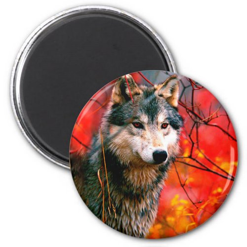 Wolf peeking through leaves in a forest magnet