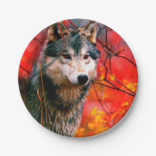 Wolf peeking through leaves in a forest paper plates