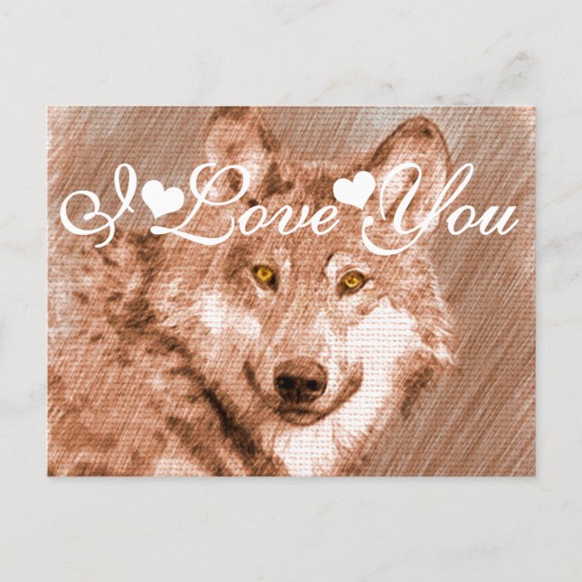 Wolf Pencil Sketch Image I Love You Postcard (Front)