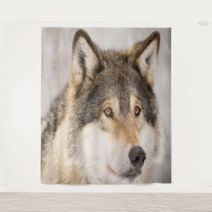 Wolf photo cute animal wildlife tapestry