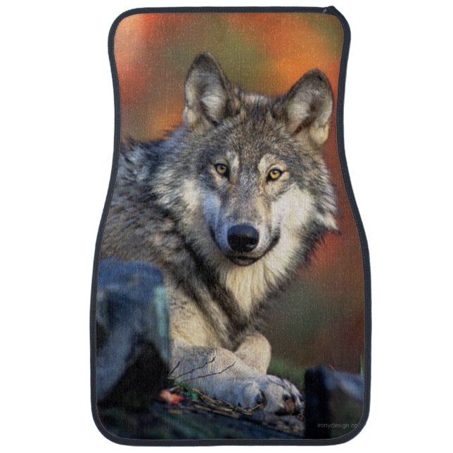 Wolf Photograph Car Floor Mat (Front)