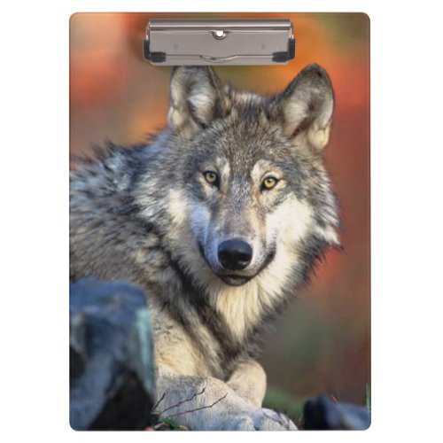 Wolf Photograph Clipboard