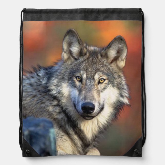 Wolf Photograph Drawstring Bag (Front)