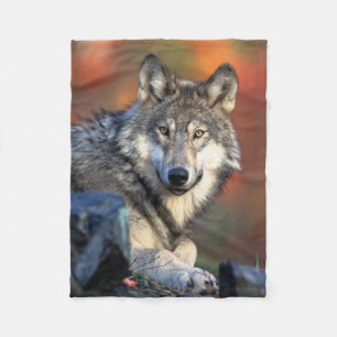 Wolf Photograph Fleece Blanket