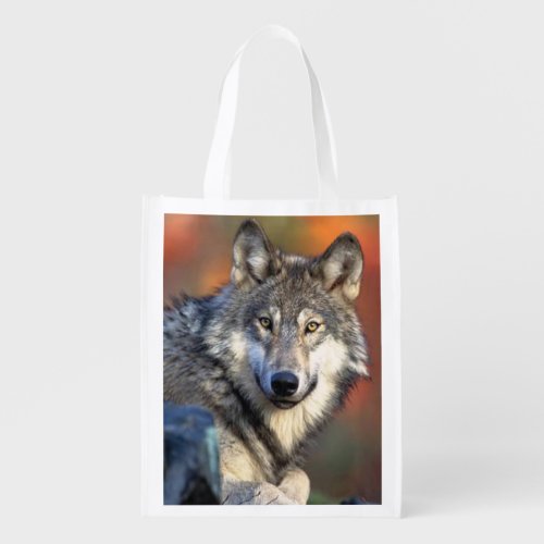 Wolf Photograph Grocery Bag