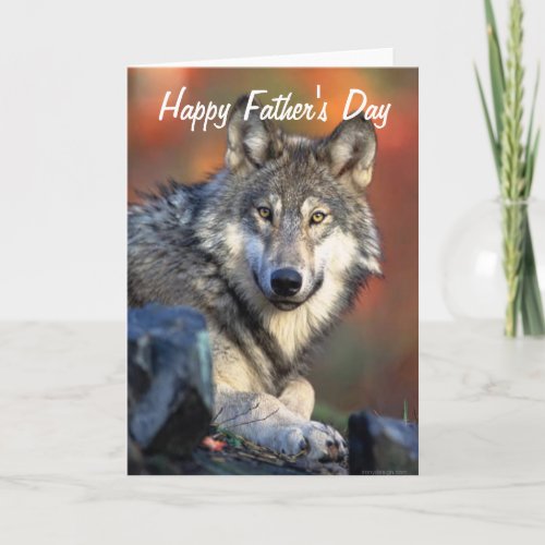Wolf Photograph Happy Fathers Day Card