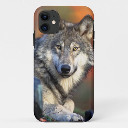 Wolf Photograph Image iPhone 11 Case