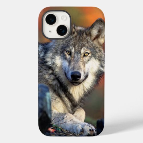 Wolf Photograph Image Case_Mate iPhone 14 Case