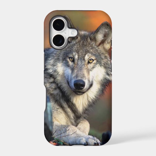 Wolf Photograph Image Iphone Case (Back)