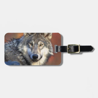 Wolf Photograph Luggage Tag