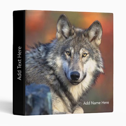 Wolf Photograph Personalized Custom Text 3 Ring Binder