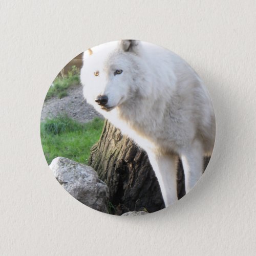 Wolf Photographic Art Spirit Guide Animal Love  Button
