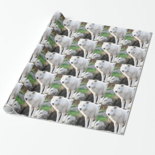 Wolf Photographic Art Spirit Guide Animal Love Wrapping Paper