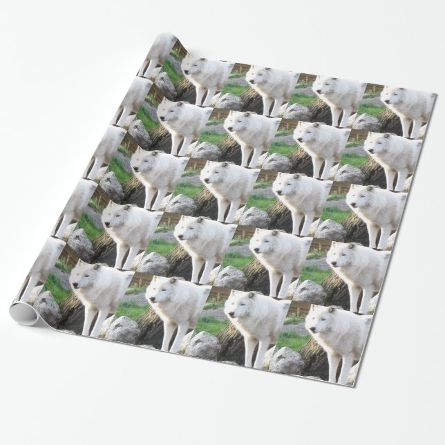Wolf Photographic Art Spirit Guide Animal Love  Wrapping Paper (Unrolled)