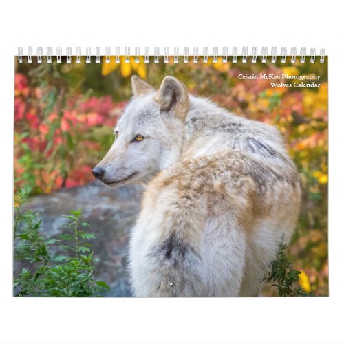 Wolf Photography Calendar