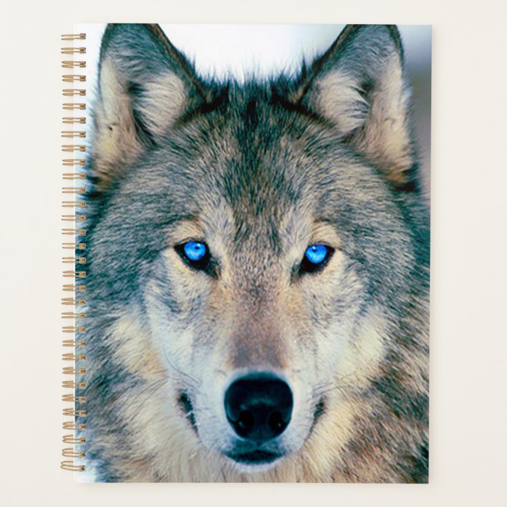 Wolf Planner Zazzle