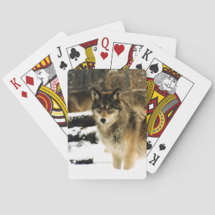 Wolf Playing Cards