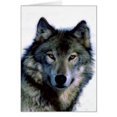 Wolf Portrait (Front)