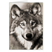 Wolf portrait (Front)