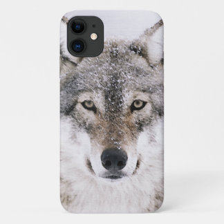 Wolf Portrait iPhone 11 Case