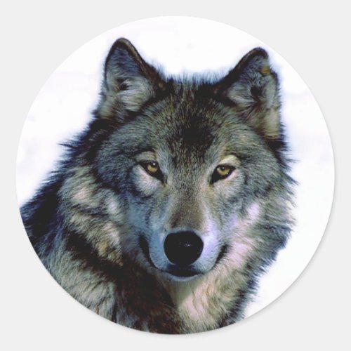 Wolf Portrait Classic Round Sticker