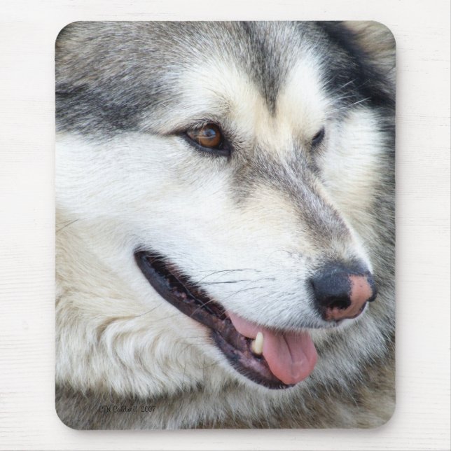 Wolf Portrait Mouse Pad (Front)