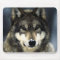 Wolf Portrait Mousepads