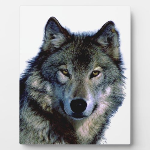 Wolf Portrait Plaque