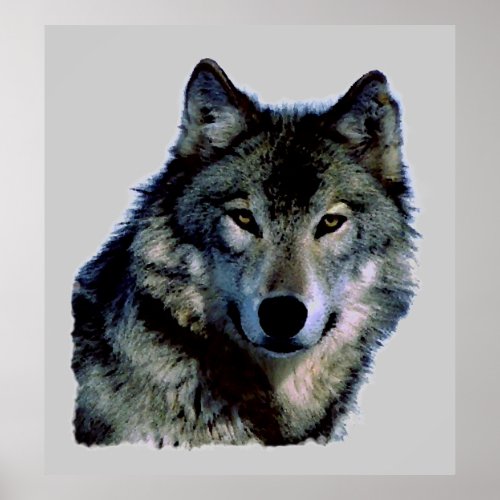 Wolf Portrait Poster