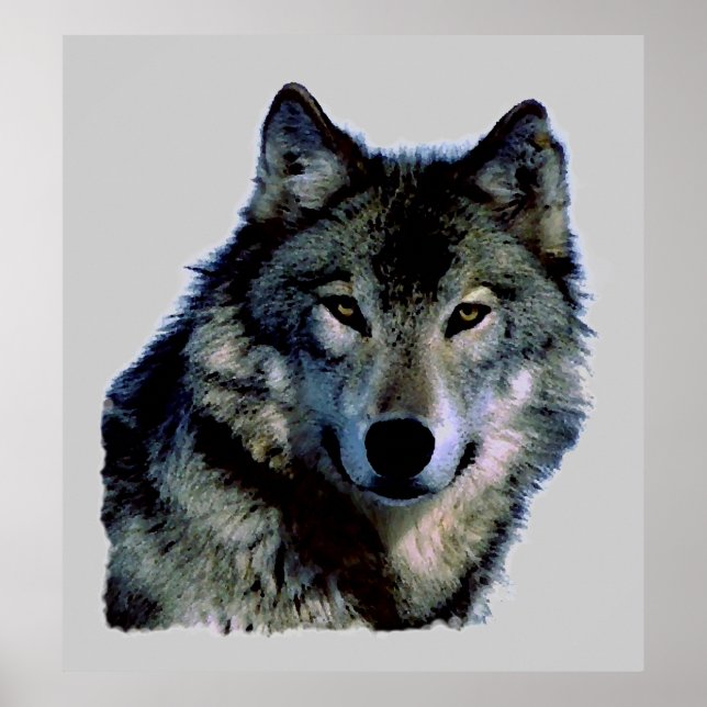 Wolf Portrait Poster (Front)