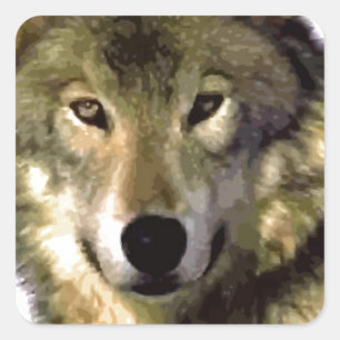 Wolf Portrait Square Sticker