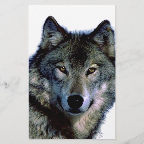 Wolf Portrait Stationery