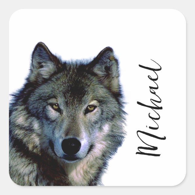 Wolf Portrait Your Name Custom Handwriting Square Sticker (Front)