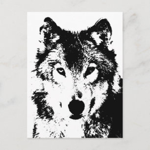 Wolf Postcard