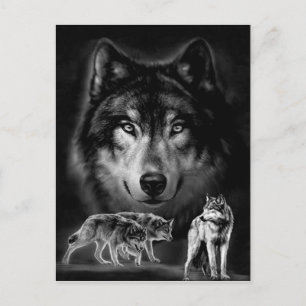 wolf postcard