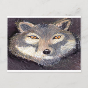 Wolf Postcard