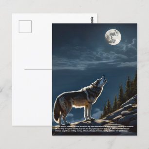 Wolf Postcard