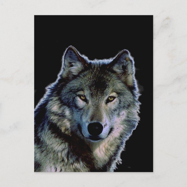 Wolf Postcard (Front)