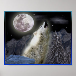 Wolf Posters