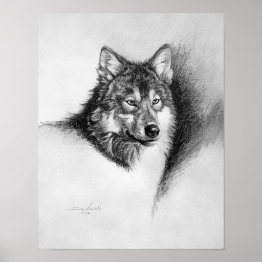 wolf print | Zazzle