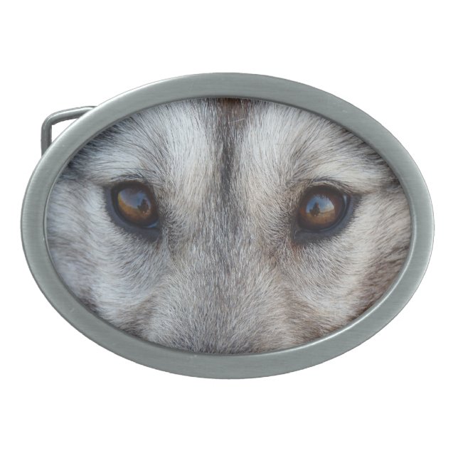 Wolf Pup Belt Buckle Sled Wolf Dog Buckles (Front)