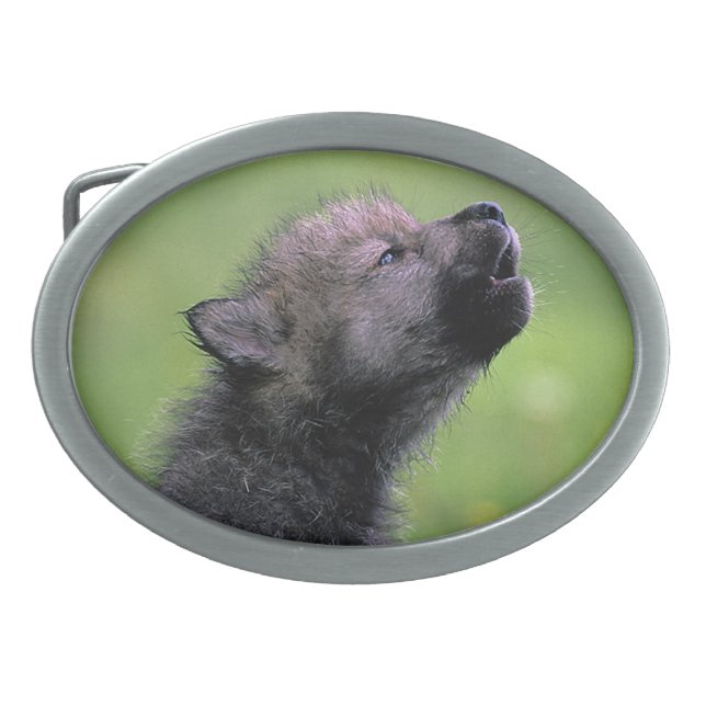 Wolf Pup Howling Oval Belt Buckle (Front)