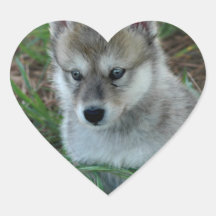 Wolf Pup Stickers