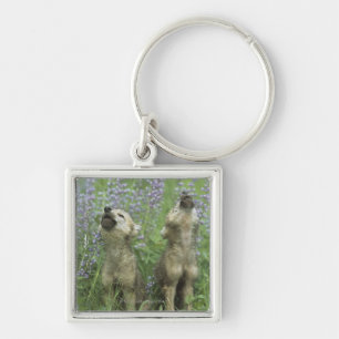 Wolf Puppies Howling In Meadow Keychain