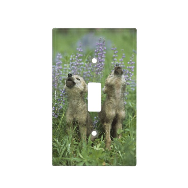 Wolf Puppies Howling In Meadow Light Switch Cover (Front)