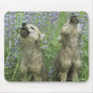 Wolf Puppies Howling In Meadow Mouse Pad