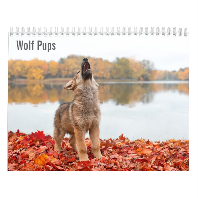 Wolf Pups 2027 Calendar (Cover)