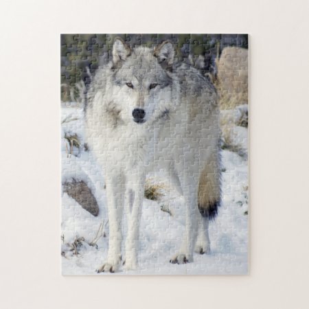 Wolf Puzzle 11" X 14" 252 Piece With Gift Box