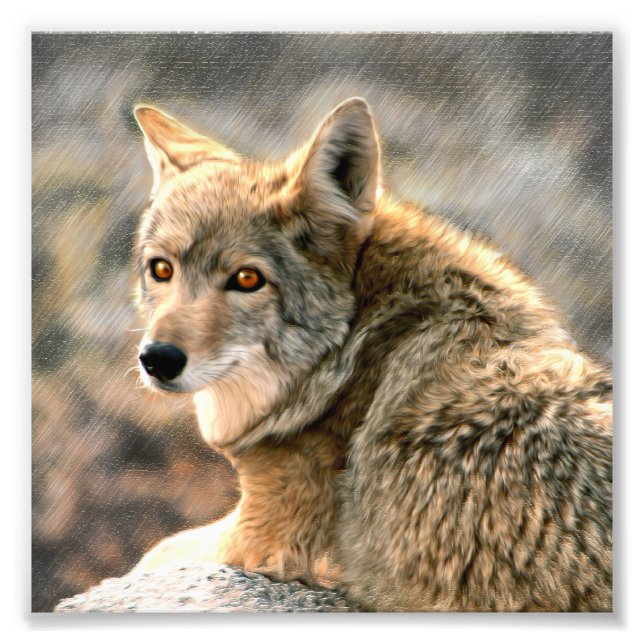 Wolf Rain Graphic Art Photo Print (Front)