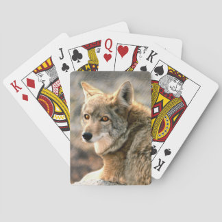 Wolf Rain Graphic Art Poker Cards